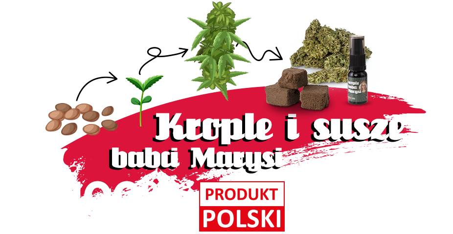 Olejki i susze CBD