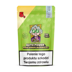 AP5G Auto Power 5g Mockup