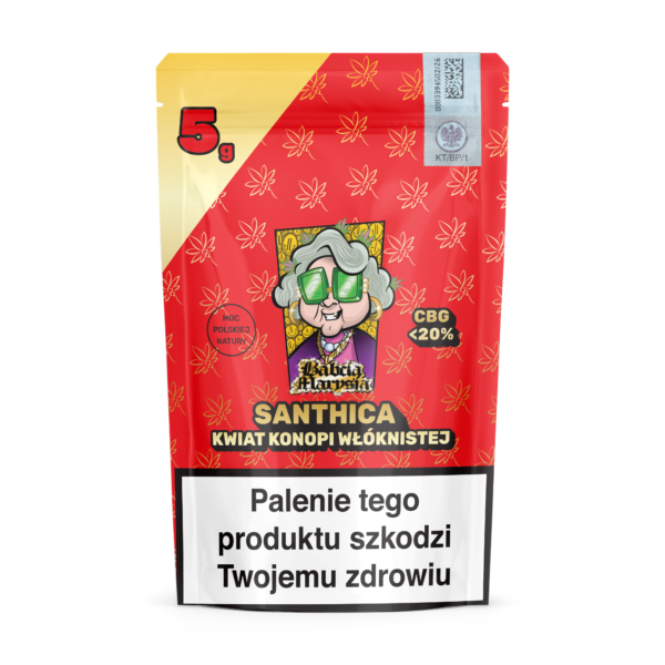 Santhica 5g Mockup